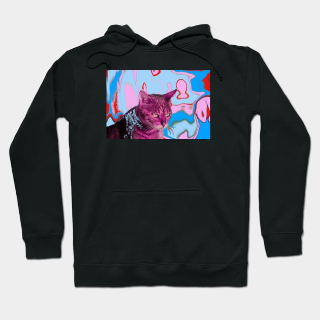 Cat LSD Hoodie by Wolf Art / Swiss Artwork Photography